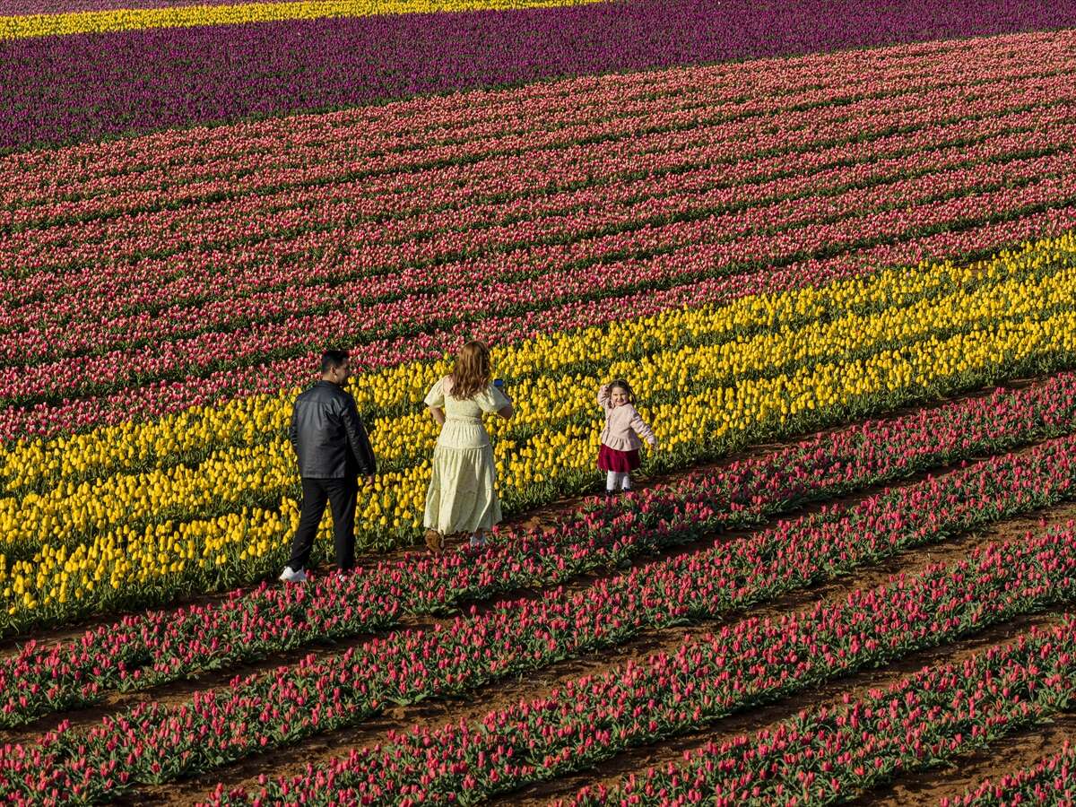 Konya’dan günübirlik kaçanlar çok! Ünlü lale cenneti ziyaretçilerini bekliyor 8